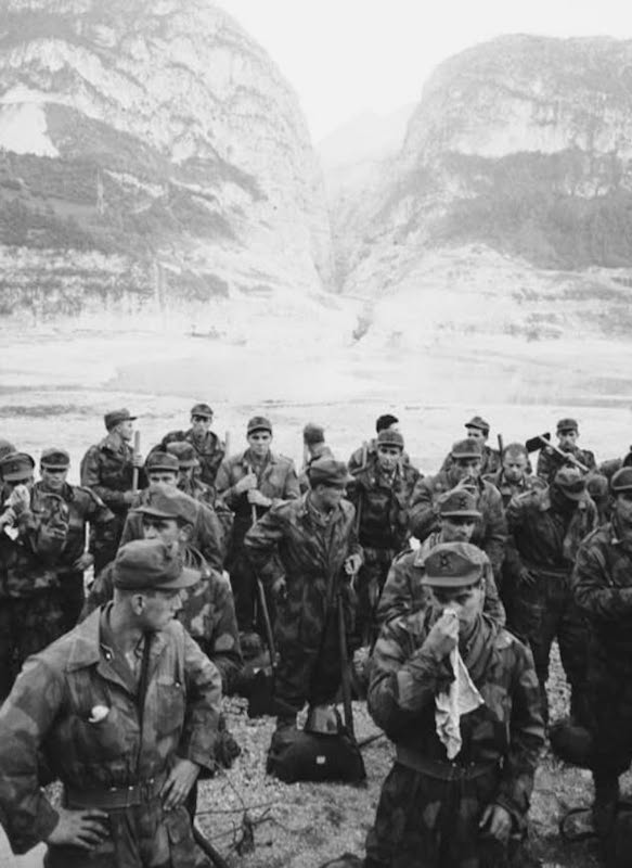 alpini